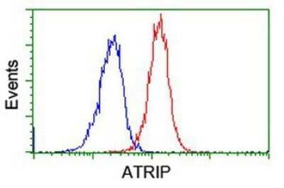 Flow Cytometry: ATRIP Antibody (OTI5E7) - Azide and BSA Free [NBP2-72271]
