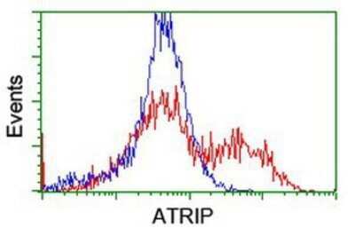 Flow Cytometry: ATRIP Antibody (OTI5E7) - Azide and BSA Free [NBP2-72271]