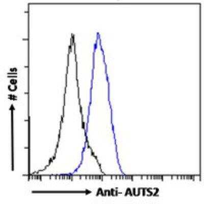 Flow Cytometry: AUTS2 Antibody [NBP3-05291]