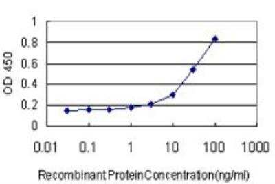 ELISA: Abhd5 Antibody (1F3) [H00051099-M01]