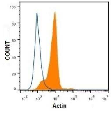 Flow Cytometry: Actin Antibody (mAbGEa) - Azide and BSA Free [NBP2-80561]