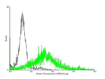 Flow Cytometry: Adenosine A2aR Antibody [H00000135-B01P]