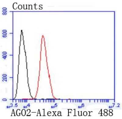 Flow Cytometry: Ago2/eIF2C2 Antibody (JF0992) [NBP2-67121]
