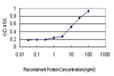 ELISA: AKT3 Antibody (3F3) [H00010000-M03]