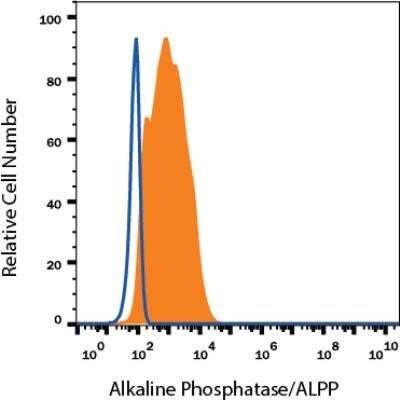 Flow Cytometry: Alkaline Phosphatase/ALPP Antibody (8B6) - Azide and BSA Free [NBP2-80568]
