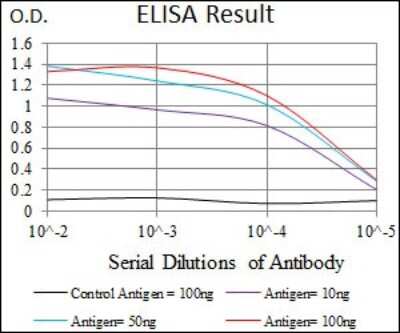 ELISA: Alkaline Phosphatase, Intestinal Antibody (3B10E7) - BSA Free [NBP2-37387]
