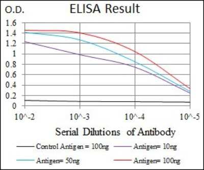 ELISA: Alkaline Phosphatase, Tissue Non-Specific Antibody (2F4) - BSA Free [NBP2-22193]