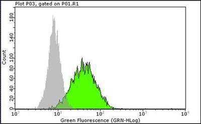 Flow Cytometry: Alkaline Phosphatase, Tissue Non-Specific Antibody (TRA-2-49) - BSA Free [NB600-540]