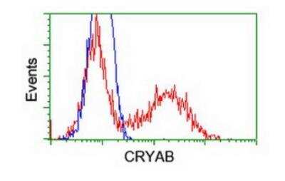 Flow Cytometry: AlphaB Crystallin/CRYAB Antibody (OTI6A9) - Azide and BSA Free [NBP2-70454]