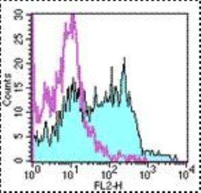 Flow Cytometry: Aminopeptidase A/ENPEP Antibody (6C3) - BSA Free [NBP1-43281]