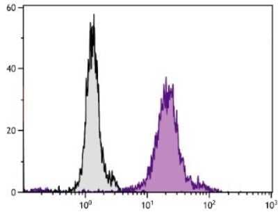 Flow Cytometry: Aminopeptidase N/CD13 Antibody (22A5) [NBP1-28429]