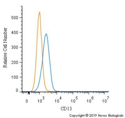 Flow Cytometry: Aminopeptidase N/CD13 Antibody - BSA Free [NBP2-77451]