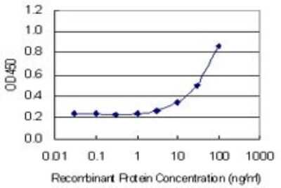 ELISA: Angiogenin Antibody (2A7) [H00000283-M05]