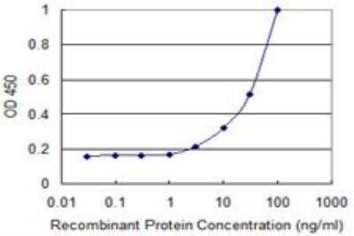 ELISA: Angiopoietin-like Protein 3/ANGPTL3 Antibody (3B7) [H00027329-M01]
