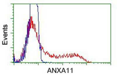 Flow Cytometry: Annexin A11 Antibody (OTI1C6) [NBP2-02342]