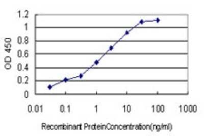 ELISA: Annexin V Antibody (1F4-1A5) [H00000308-M01]