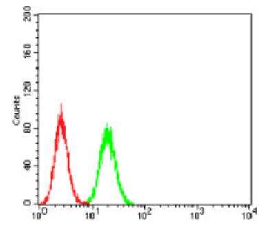 Flow Cytometry: Annexin V Antibody (3B9B7) - BSA Free [NBP2-52414]