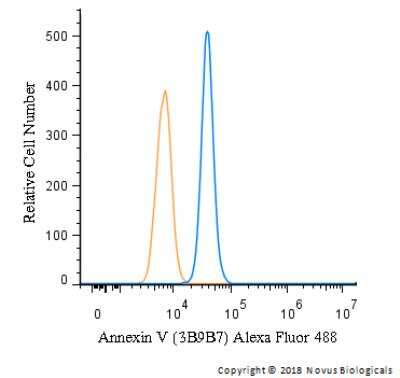Flow Cytometry: Annexin V Antibody (3B9B7) - BSA Free [NBP2-52414]