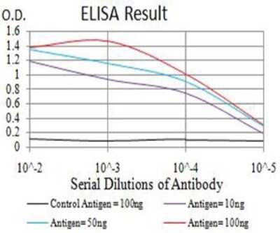 ELISA: Apc1 Antibody (7G9C7) - BSA Free [NBP2-61887]