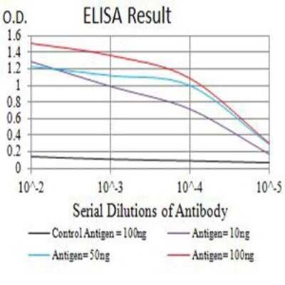 ELISA: Apc2 Antibody (3A2G2) - BSA Free [NBP2-61656]