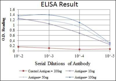 ELISA: Apolipoprotein E/ApoE Antibody (1H4) [NBP2-22110]
