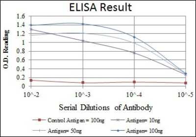 ELISA: Apolipoprotein B/ApoB Antibody (6G6) - BSA Free [NBP2-37598]