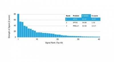 Protein Array: Apolipoprotein D Antibody (APOD/3415) - Azide and BSA Free [NBP3-14090]