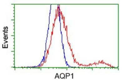 Flow Cytometry: Aquaporin 1/AQP1 Antibody (OTI2D10) [NBP2-03568]