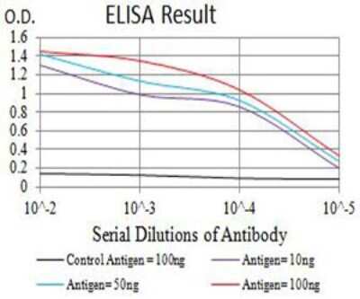 ELISA: Aquaporin-2 Antibody (5B6B12) - BSA Free [NBP2-61669]