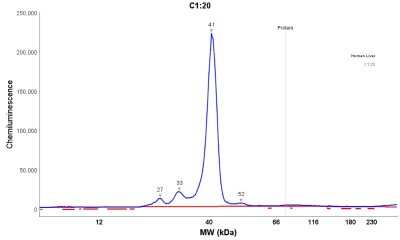 Simple Western: Arginase 1/ARG1/liver Arginase Antibody [NBP1-87490]