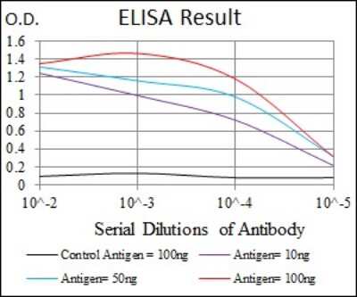 ELISA: Argininosuccinate Synthase Antibody (2C10) - BSA Free [NBP2-37518]
