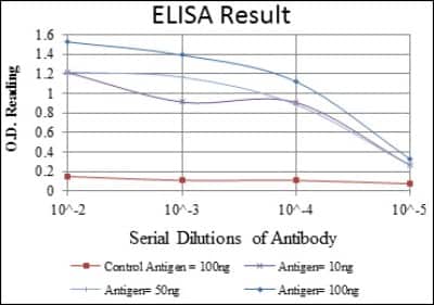 ELISA: Aurora A Antibody (1F8) - BSA Free [NBP2-22118]