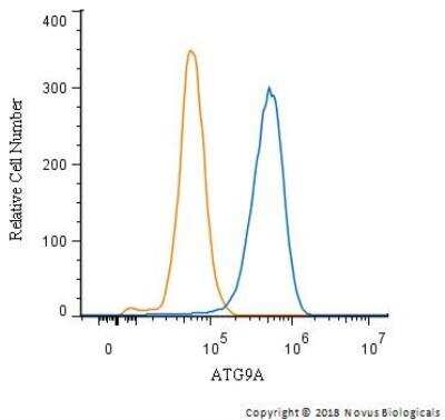 Flow Cytometry: Autophagy Antibody Pack [NB910-94159]