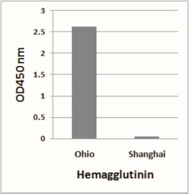 ELISA: Avian Influenza A H7N9 Hemagglutinin Antibody - (A/blue-winged teal/Ohio/566/2006) - BSA Free [NBP2-41276]