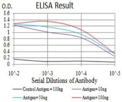 ELISA: Axin-1 Antibody (4E9F1) - BSA Free [NBP2-61695]