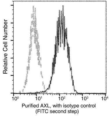 Flow Cytometry: Axl Antibody (101) [NBP2-89380]
