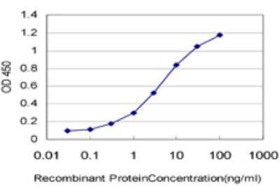 ELISA: B-Myb Antibody (5G5) [H00004605-M03]