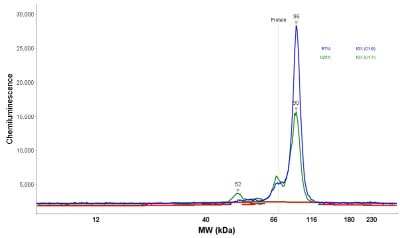 Simple Western: B-Raf Antibody [NBP1-89942]