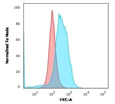 Flow Cytometry: B7-2/CD86 Antibody (BU63) - Azide and BSA Free [NBP2-34569]