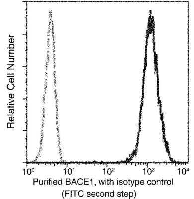 Flow Cytometry: BACE-1 Antibody (027) [NBP2-89254]