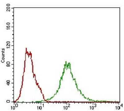 Flow Cytometry: BACE-1 Antibody (3C1C3) - BSA Free [NBP2-37261]