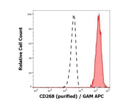 Flow Cytometry: BAFFR/TNFRSF13C Antibody (11C1) - BSA Free [NBP3-09142]