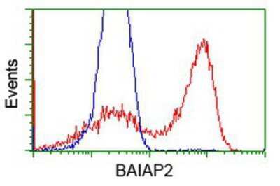 Flow Cytometry: BAIAP2 Antibody (OTI 1D9) [NBP2-00810]