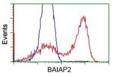 Flow Cytometry: BAIAP2 Antibody (OTI 1D9) - Azide and BSA Free [NBP2-71603]