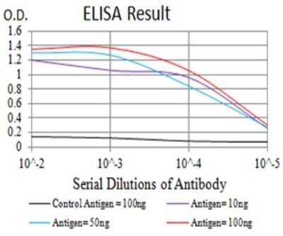 ELISA: BCL-W/BCL2L2 Antibody (4G12E6) - BSA Free [NBP2-61706]