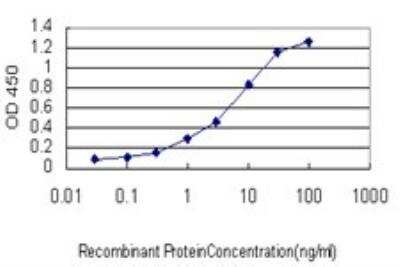 ELISA: BCL7B Antibody (6D2) [H00009275-M01]