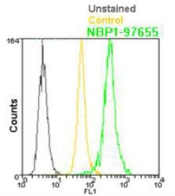 Flow Cytometry: BCMA/TNFRSF17 Antibody (Vicky-1) - BSA Free [NBP1-97637]