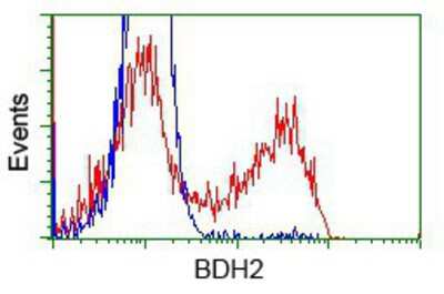 Flow Cytometry: BDH2 Antibody (OTI2G1) [NBP2-02651]