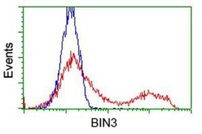 Flow Cytometry: BIN3 Antibody (OTI8E9) - Azide and BSA Free [NBP2-72051]