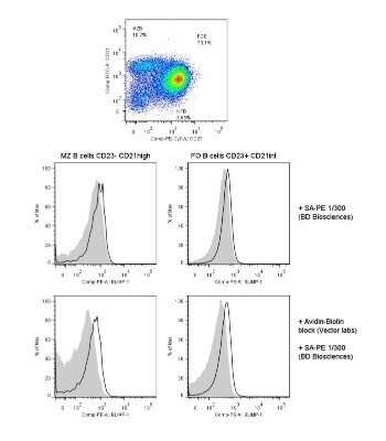 Flow Cytometry: BLIMP1/PRDM1 Antibody (3H2-E8) - Azide and BSA Free [NBP2-80597]